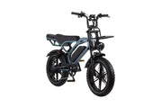 Altec Arion E-Bike Fatbike Pine Green