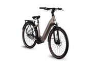 Altec Dynamic E-Bike