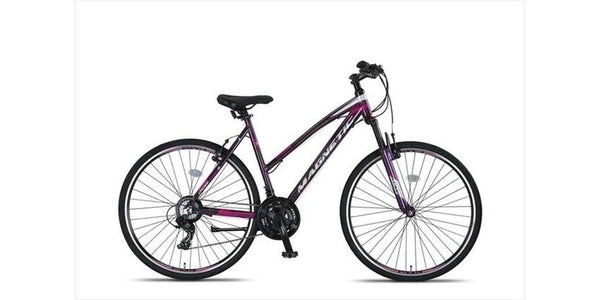 Altec Magnetic Trekking Dames Gray/Pink
