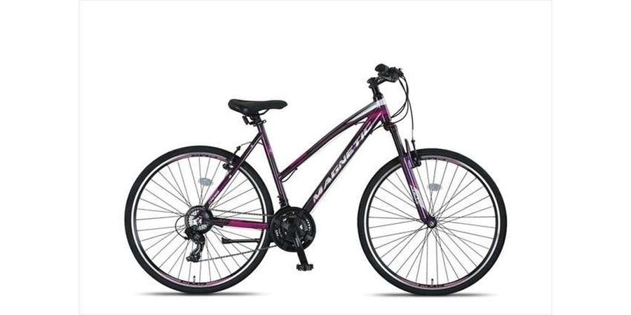 Altec Magnetic Trekking Dames Gray/Pink