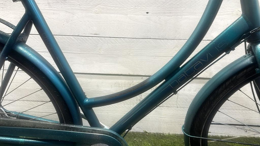 Batavus Diva