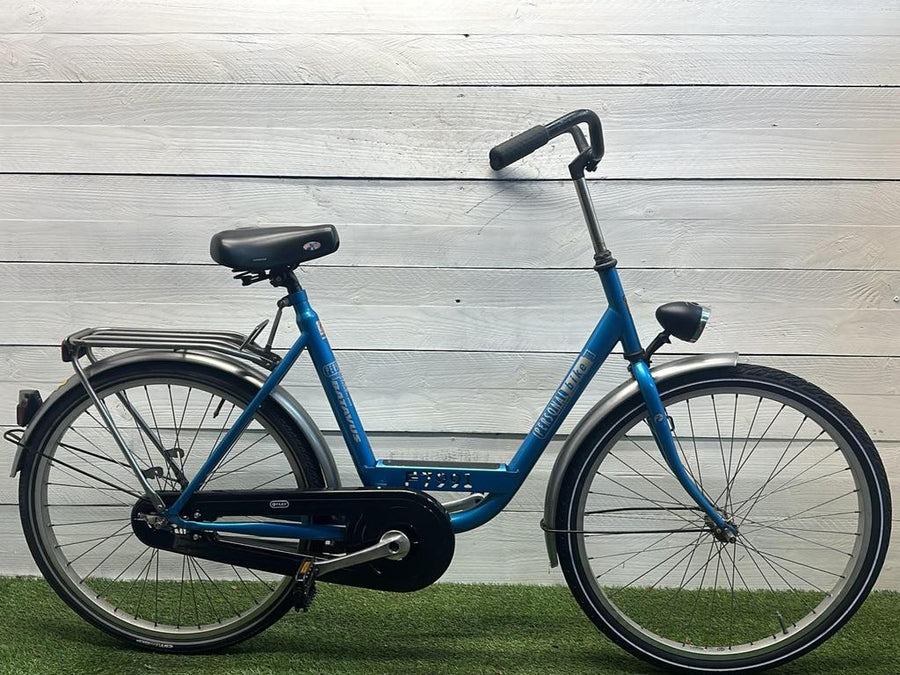 Batavus Personal Bike