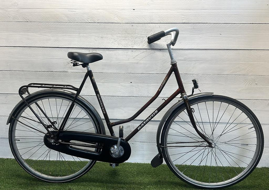 Batavus Railstar