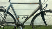 Gazelle Allure