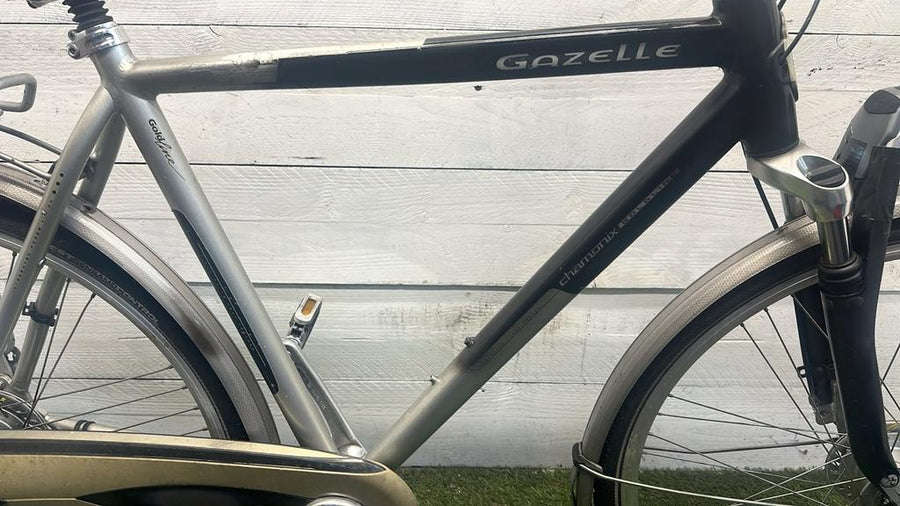 Gazelle Chamonix