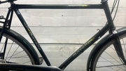 Gazelle Jmpala v4 cm61 inch28