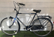 Gazelle Jmpala v5 cm61 inch28