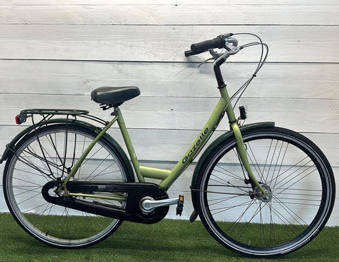Gazelle Laguna