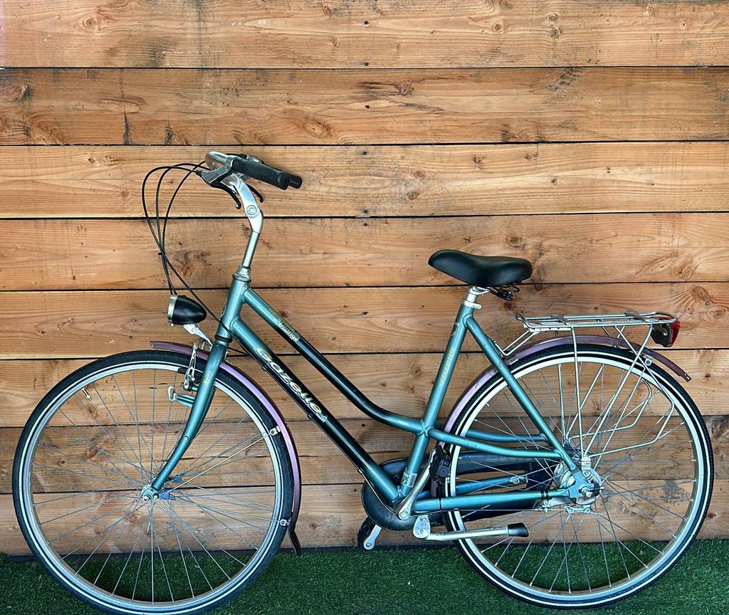 Gazelle Orange 7v 28inch 54cm