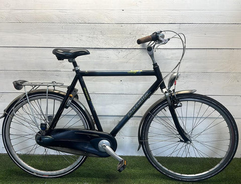 Gazelle Orange