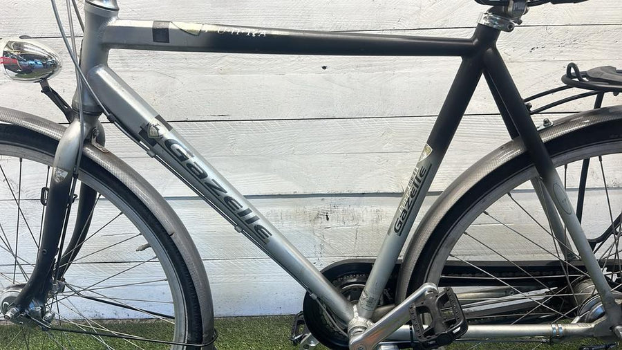 Gazelle Punta