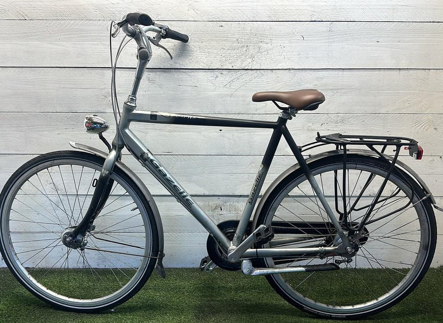 Gazelle Punta