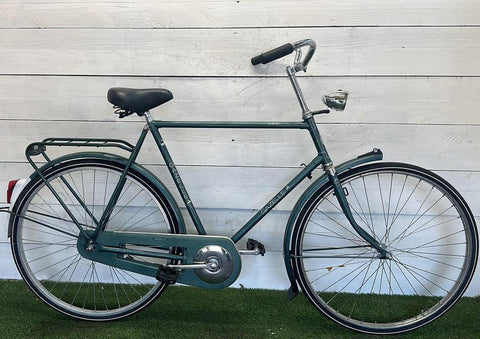 Gazelle Solide