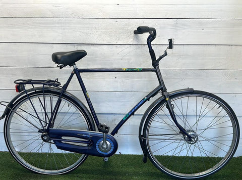 Gazelle Trendy