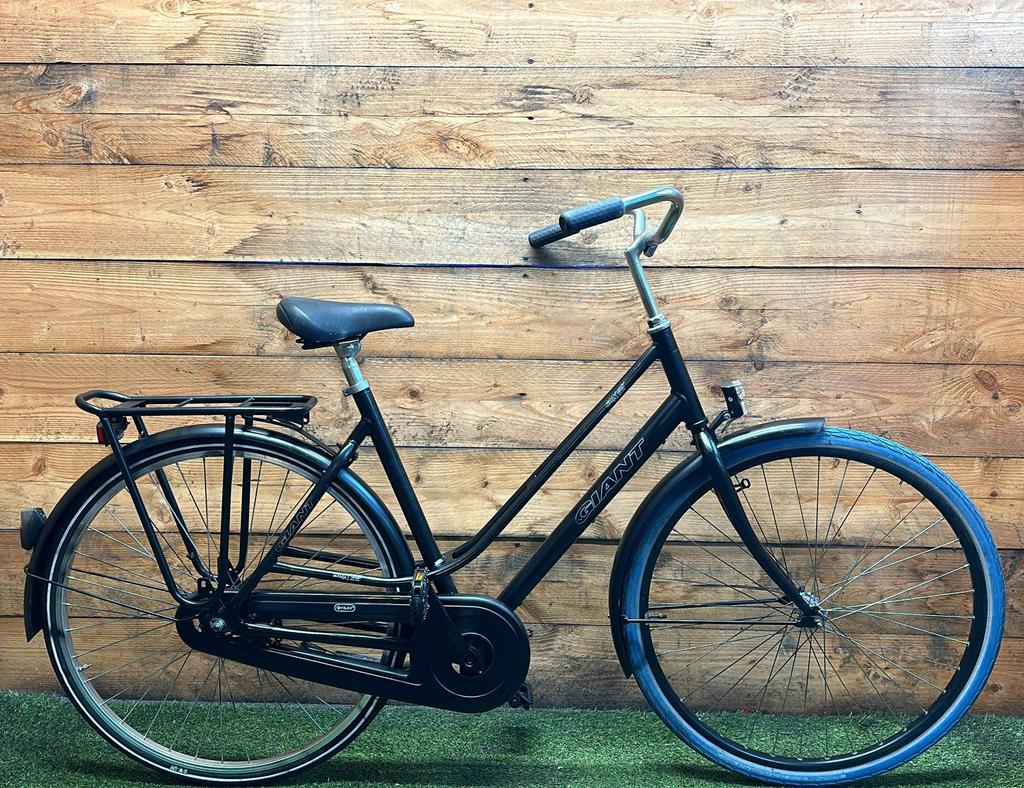 Giant Suxes 28inch 53cm