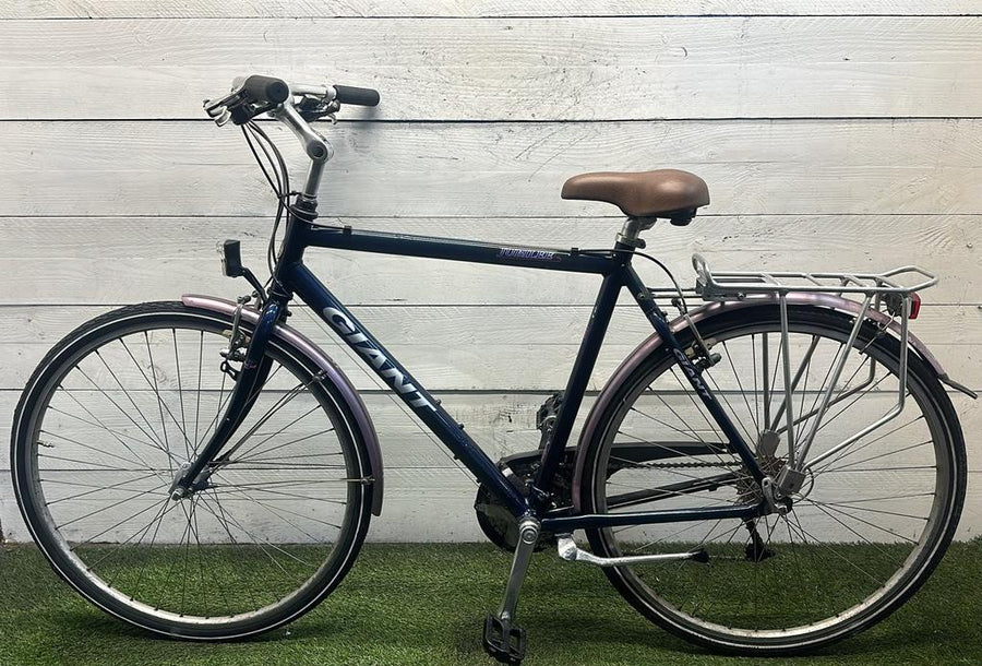 Giant jubilee v24 cm57 inch28