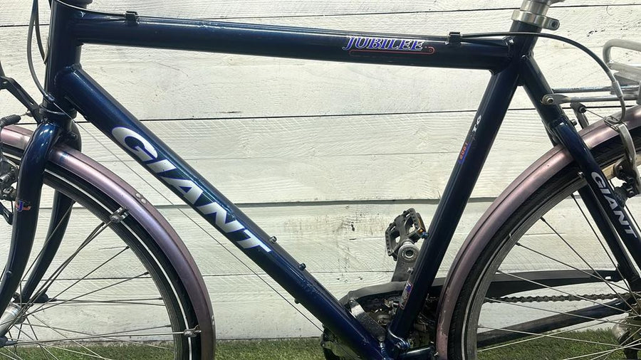 Giant jubilee v24 cm57 inch28