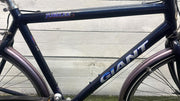 Giant jubilee v24 cm57 inch28