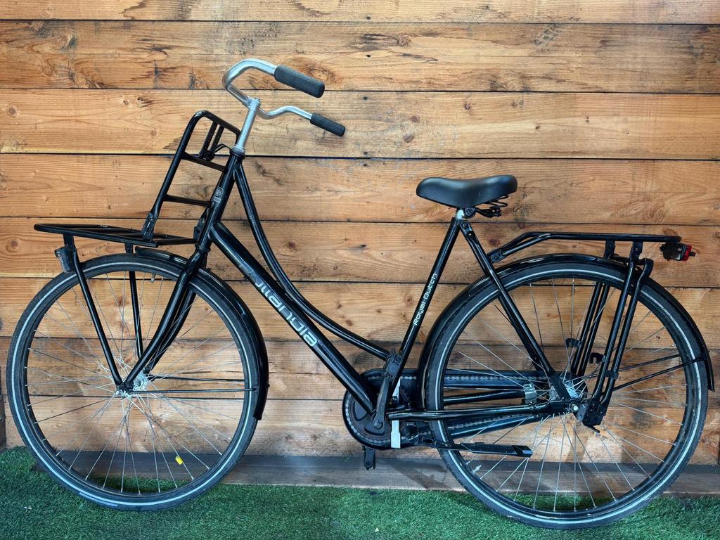 Hollandia Royal Dutch 28inch 56cm