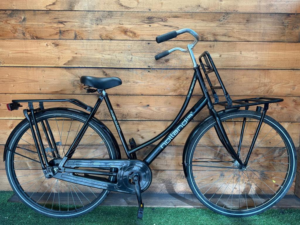 Hollandia Royal Dutch 28inch 56cm
