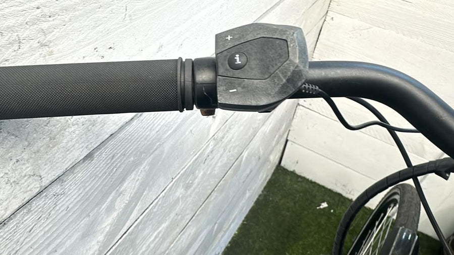 Pegasus E-bike