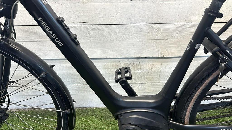 Pegasus E-bike