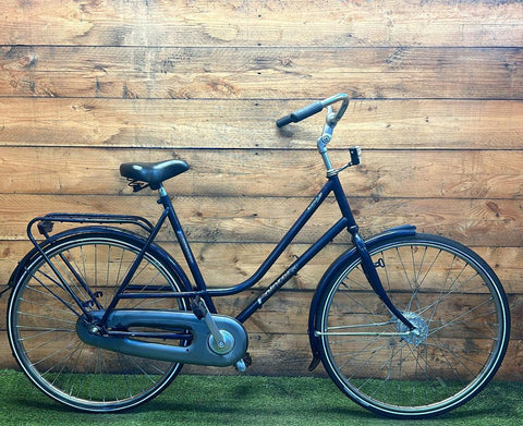 Pointer Arena 28inch 57cm