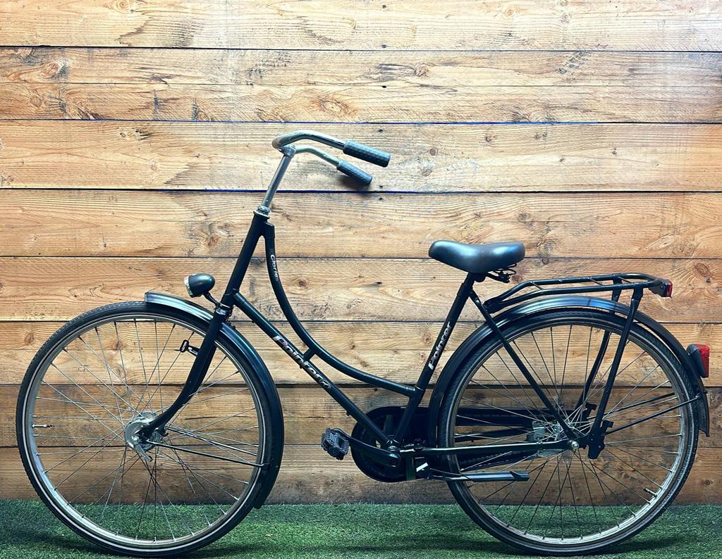 Pointer Glorie 28inch 50cm