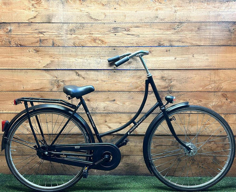 Pointer Glorie 28inch 50cm