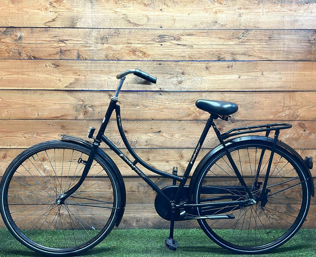 Pointer Glorie 28inch 57cm