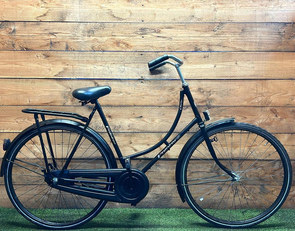 Pointer Glorie 28inch 57cm