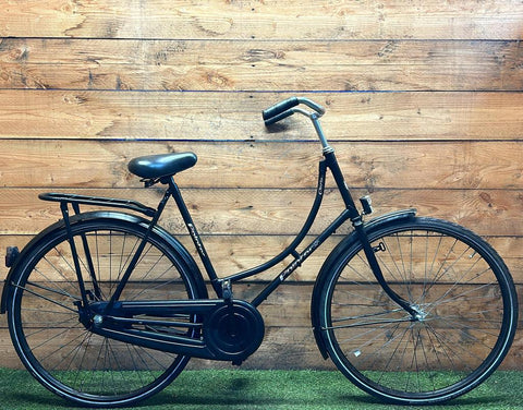 Pointer Glorie 28inch 57cm