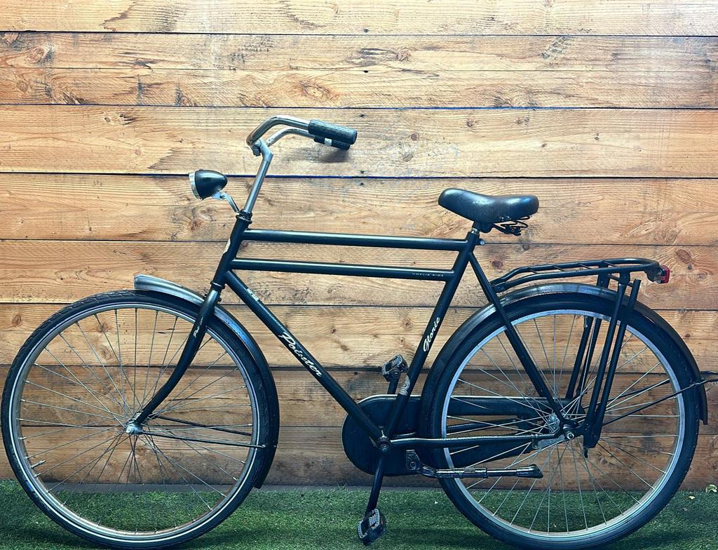 Pointer Glorie 28inch 61cm