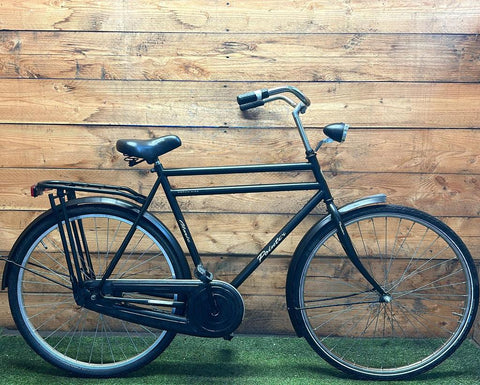 Pointer Glorie 28inch 61cm