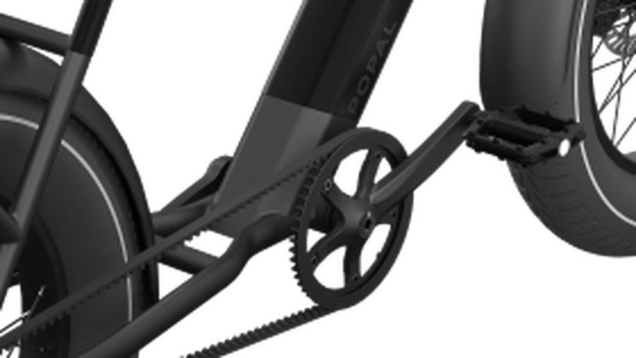 Popal GTX Fatbike E-bike