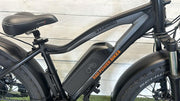 Rad Power Bikes – RadRhino 5