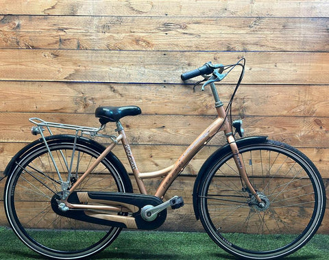Raleigh Trendy