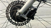 Stella Fiore E-bike Moederfiets
