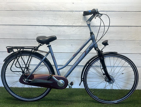 Trek L300